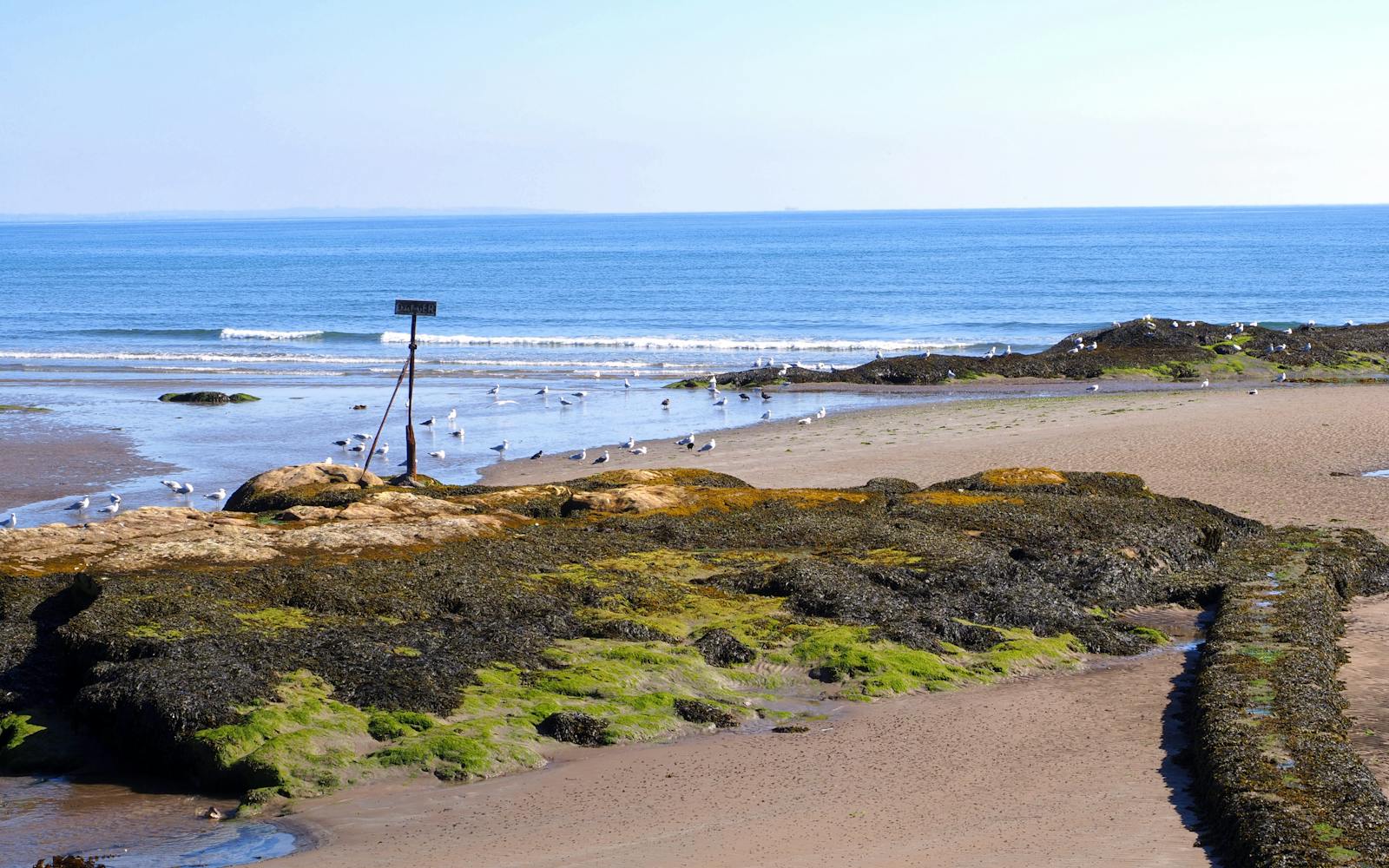 East Sands beach and coastal water near St Andrews